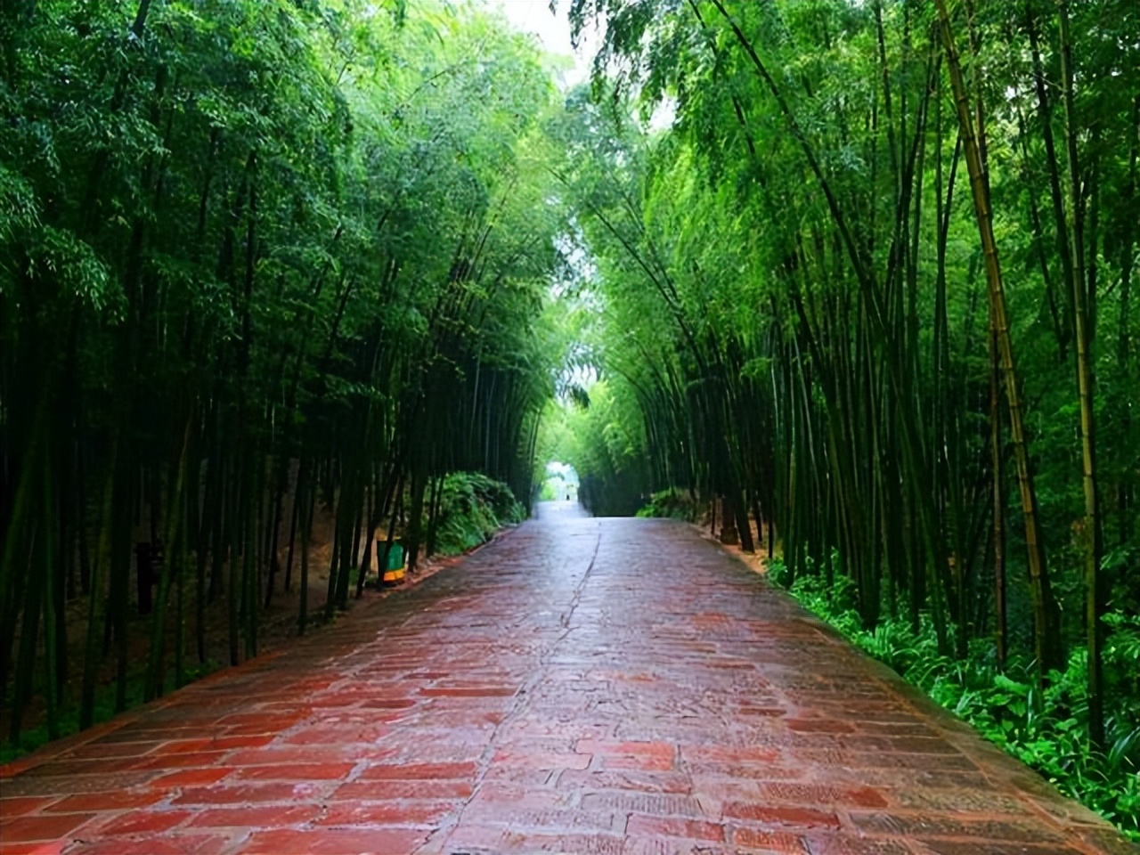 卧虎藏龙蜀南竹海取景地片段,蜀南竹海卧虎藏龙拍摄地放的音乐