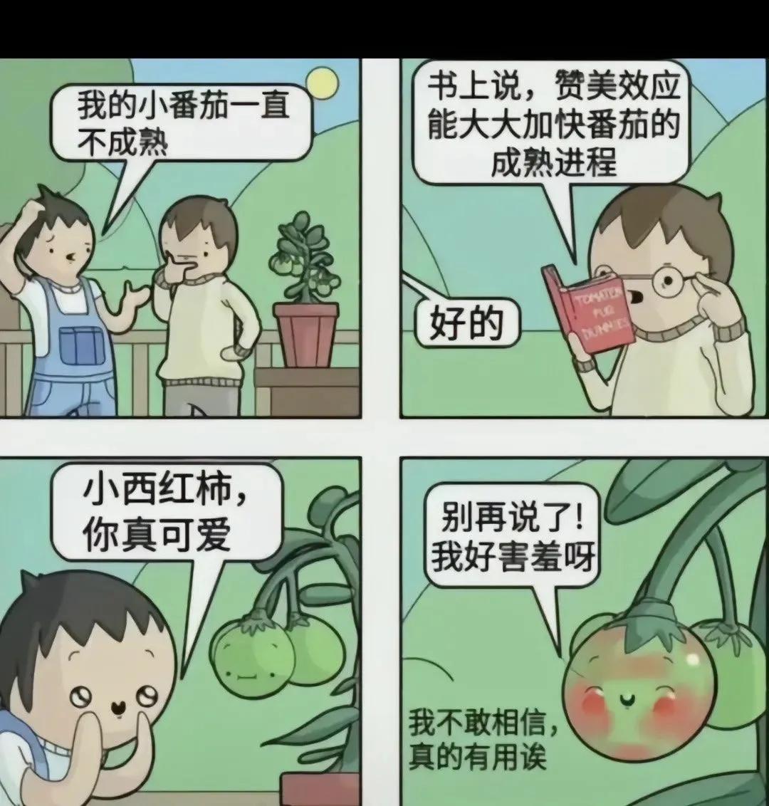 人间最真实搞笑的图片,搞笑图片人间真实系列