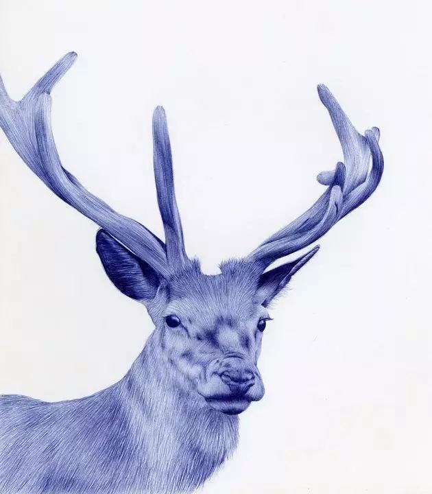 圆珠笔作画简单,2块钱圆珠笔