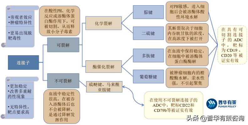 蛋白质分析试剂,蛋白检测试剂上市公司