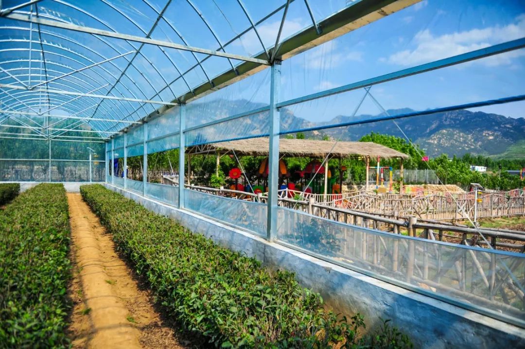 济南五一游玩攻略路线推荐,国庆节济南自驾游最佳攻略