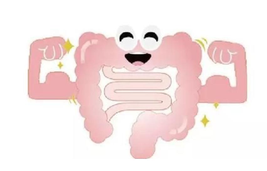 脾胃虚弱吃什么调理脾效果最好,脾胃不好怎么补脾最快最有效大人