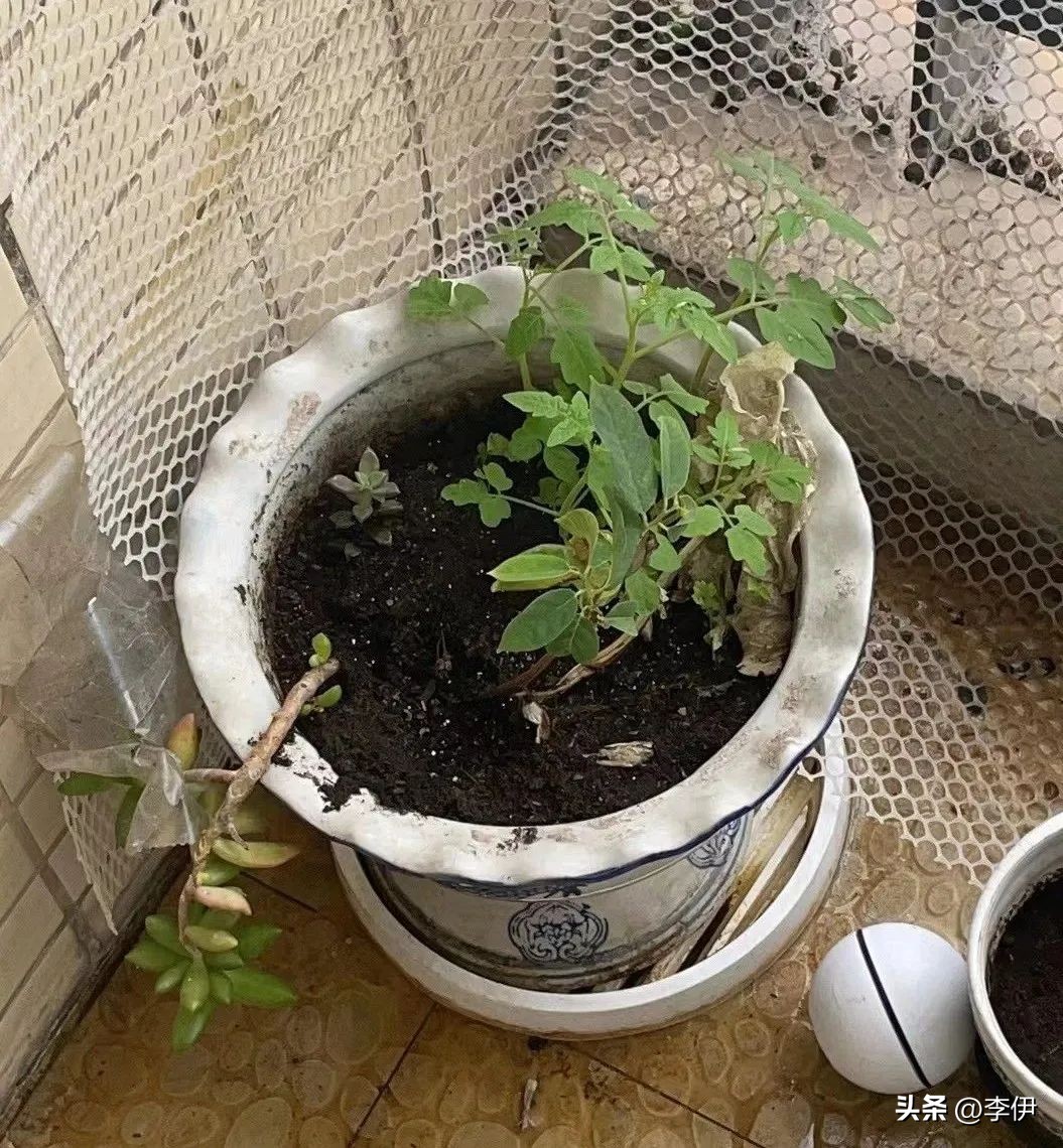 不消费是好事吗,不消费和物尽其用