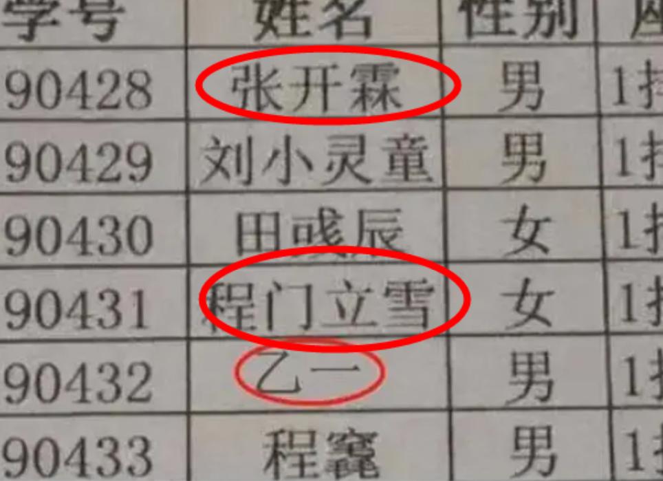 武汉一女大学生名字太特殊，一眼看成“屁啦啦”，蠢萌蠢萌的