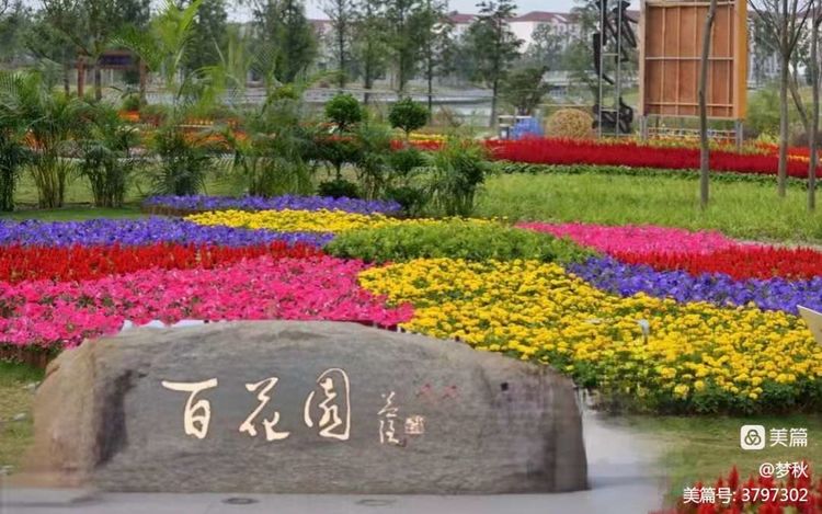 《百花美文》2022年第七期，总第八十八期