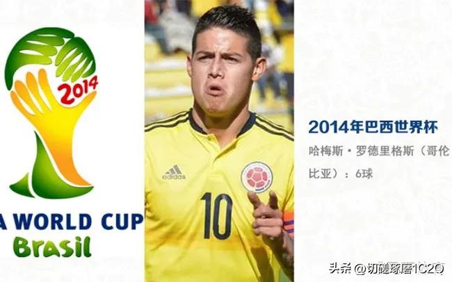 历届男子世界杯单打冠军,历届世界杯女单冠亚军