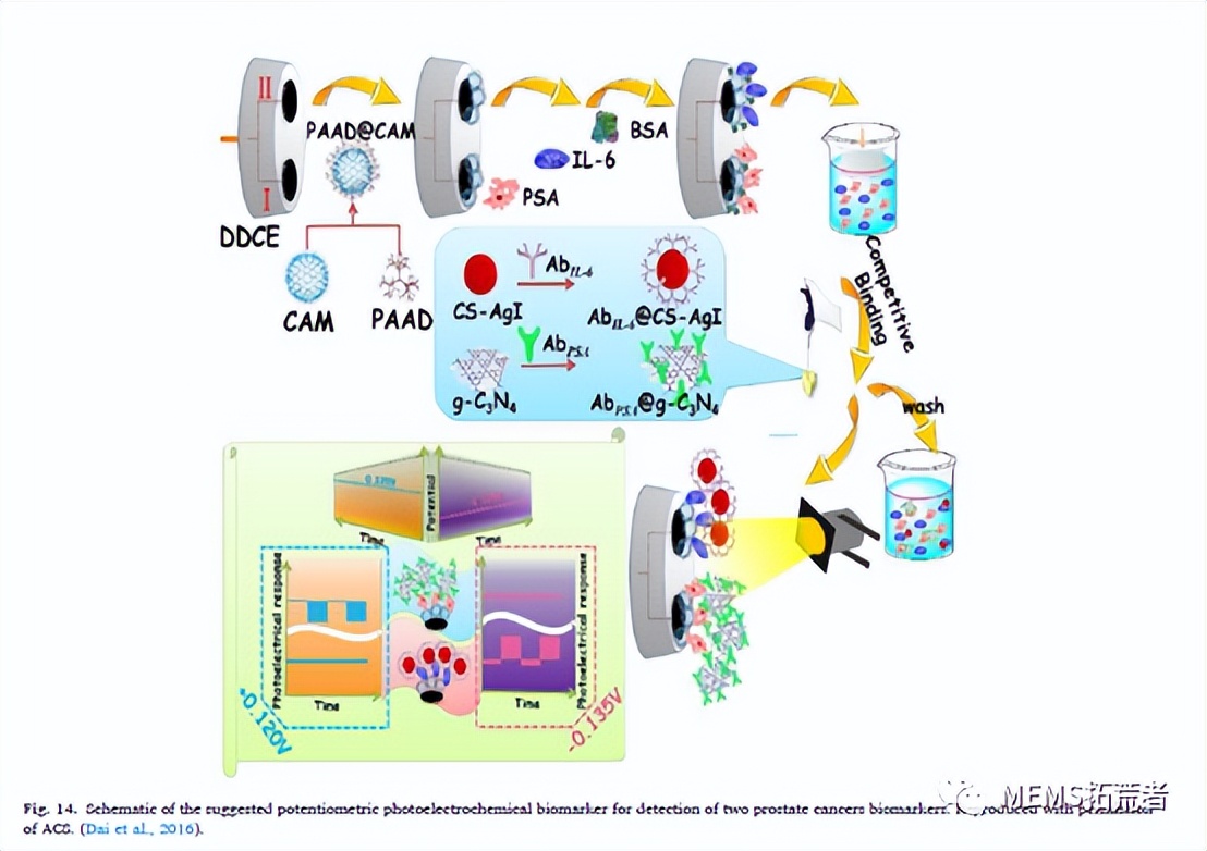 基于电位计的生物传感器进行生物标志物检测的研究进展（下篇）
