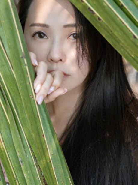 伊能静买文具,伊能静微博事件真相