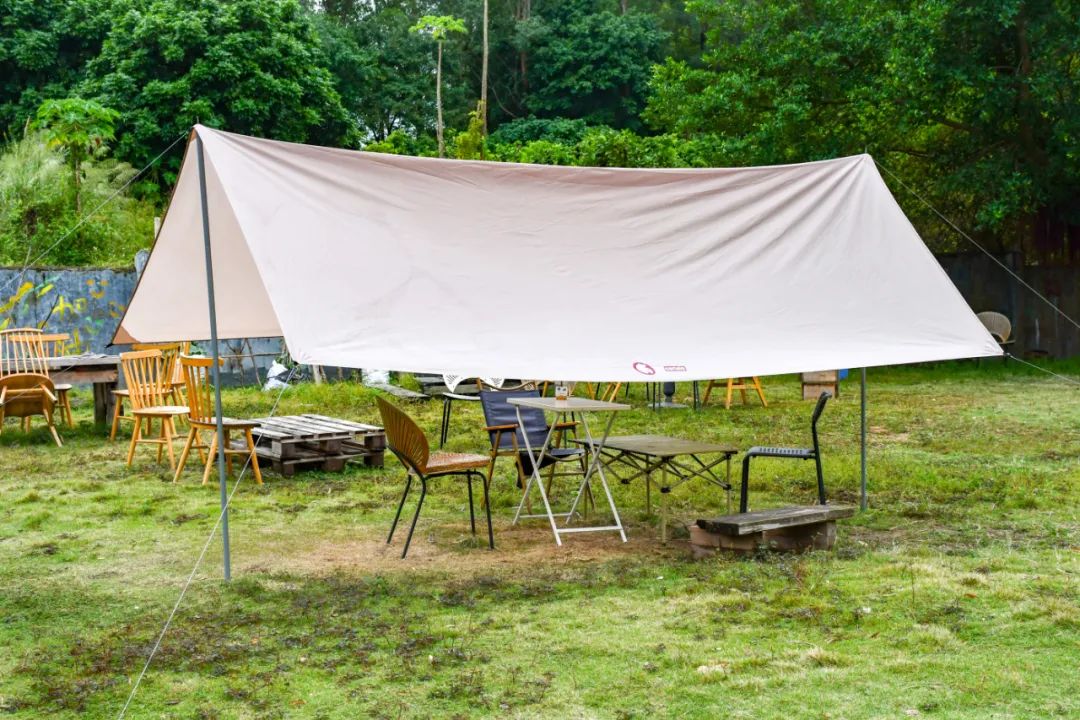 深圳坪山区有哪些美食,深圳坪山高铁站附近美食