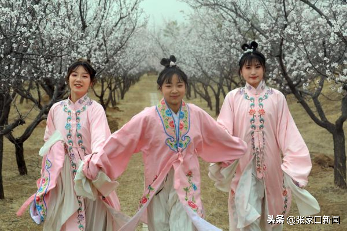 图说2022｜摄影记者镜头里的张家口这一年·陈飞