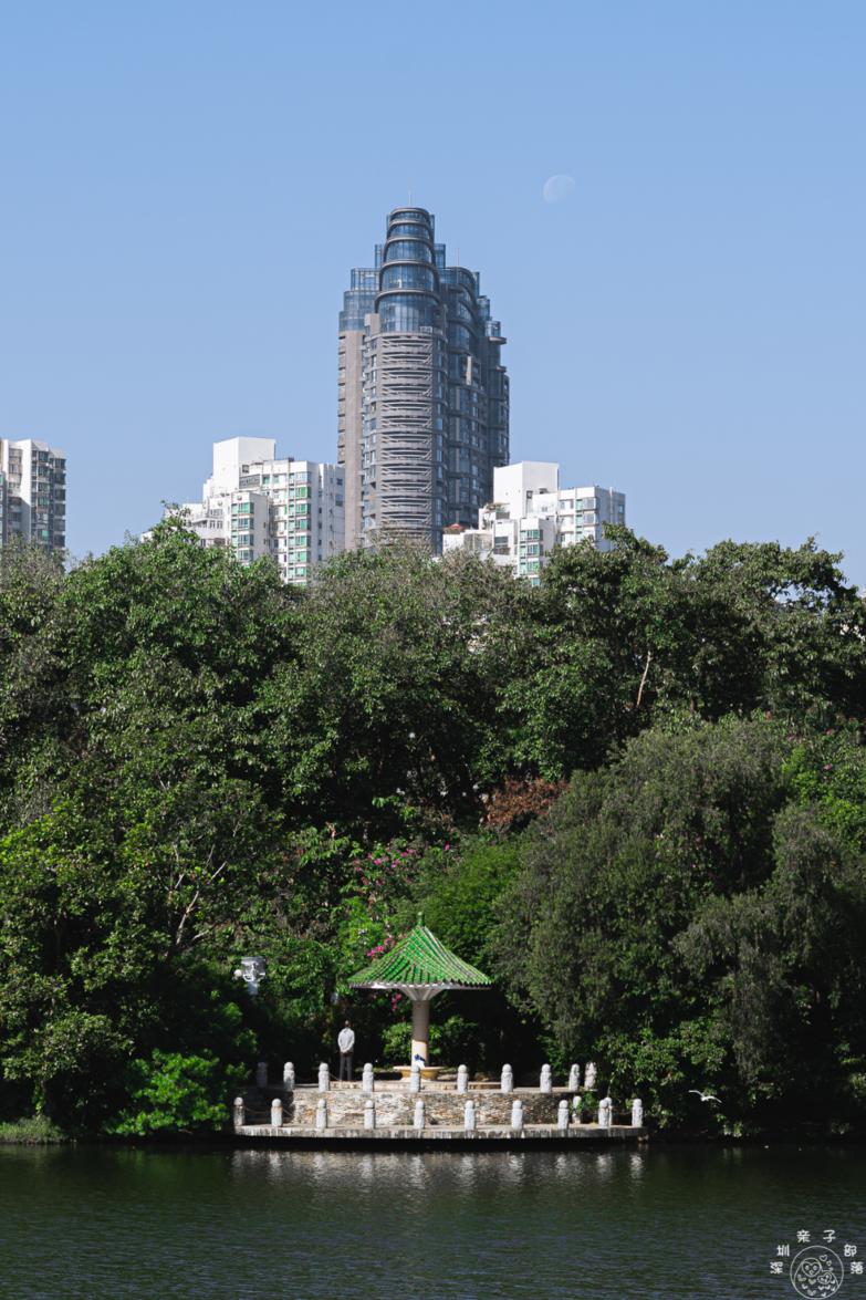 深圳海景公园景点推荐,我们逛了12个深圳绝美公园