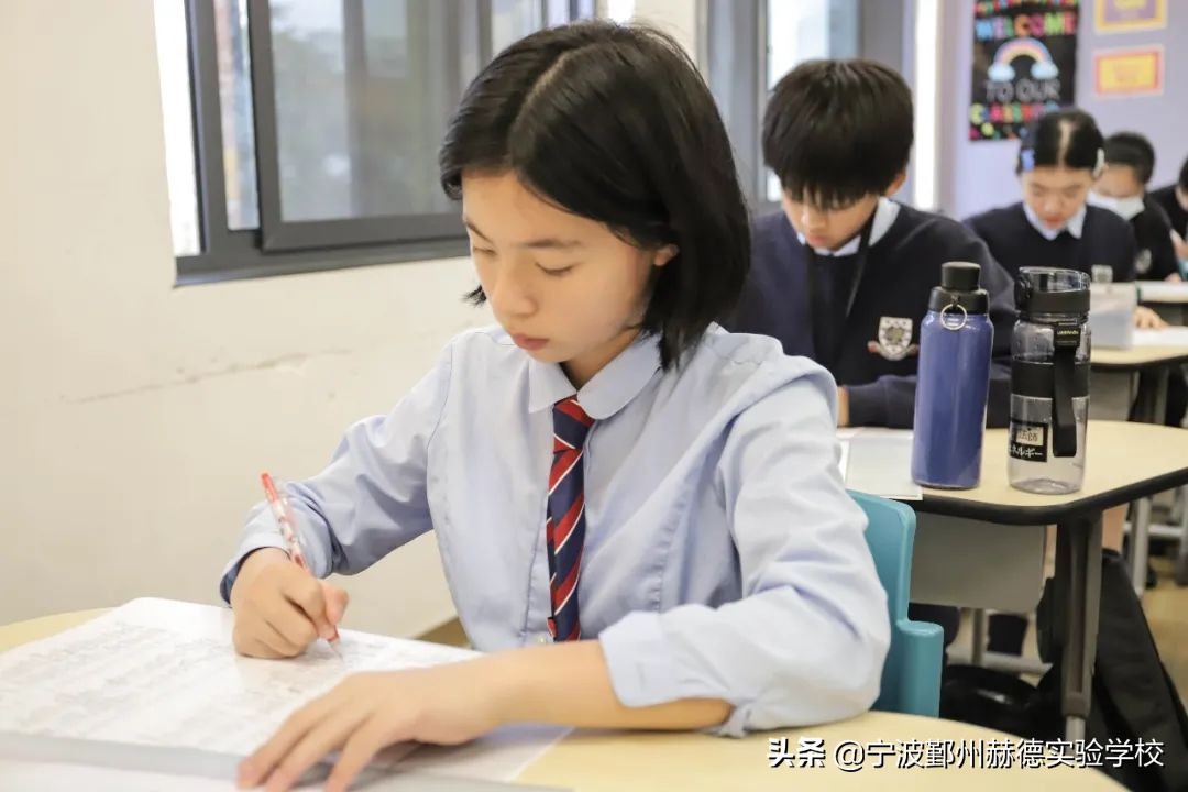 七年级学生学习感悟,七年级学生学习生活感悟