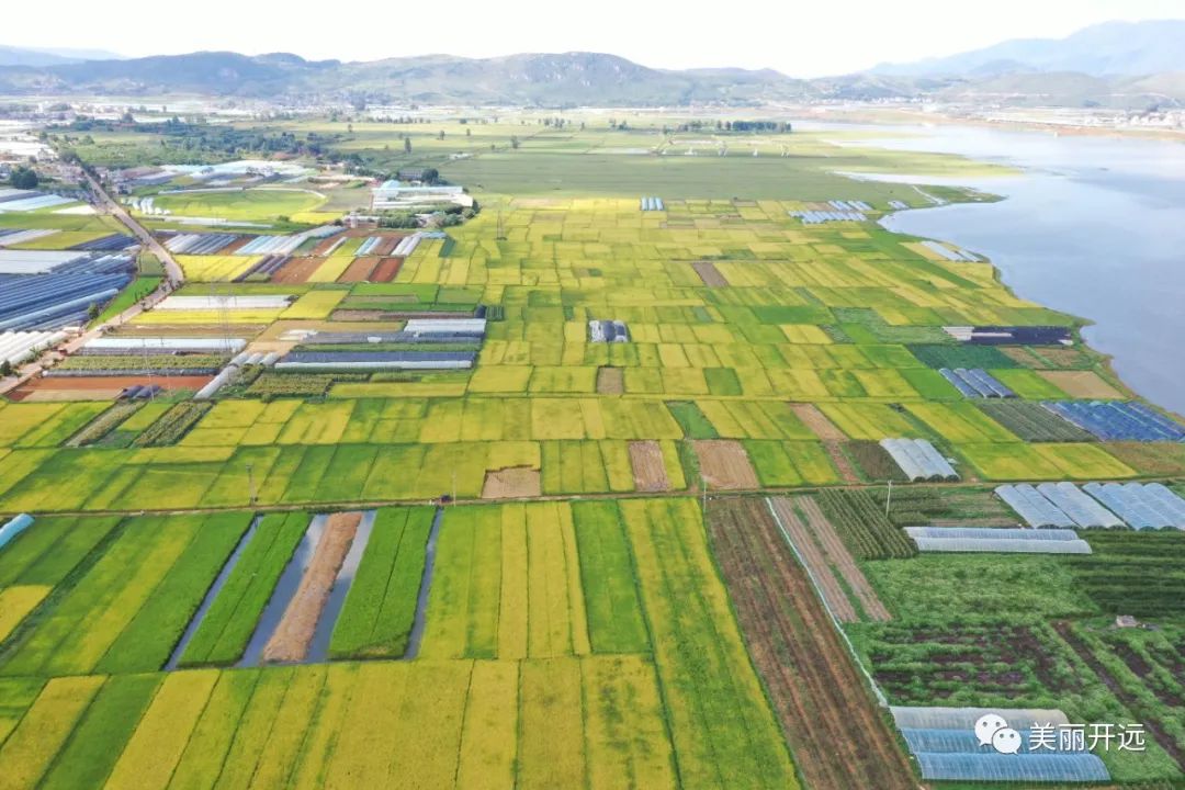 有一种叫云南的生活感动世界,有一种叫云南的生活从不缺浪漫