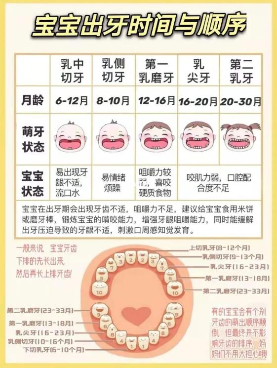 宝宝出牙晚缺钙怎么办,缺钙的孩子出牙晚吗
