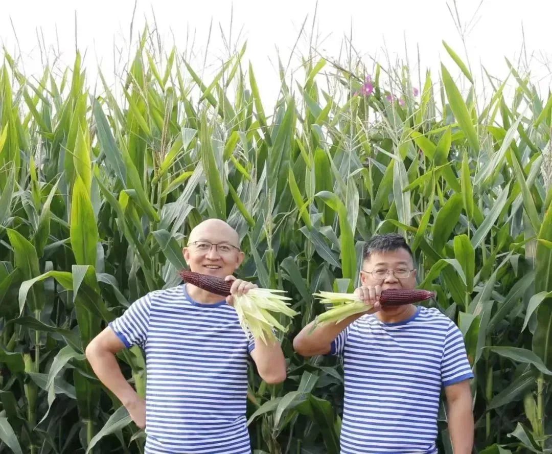 乡村振兴36个案例,谈一谈对乡村产业振兴的看法