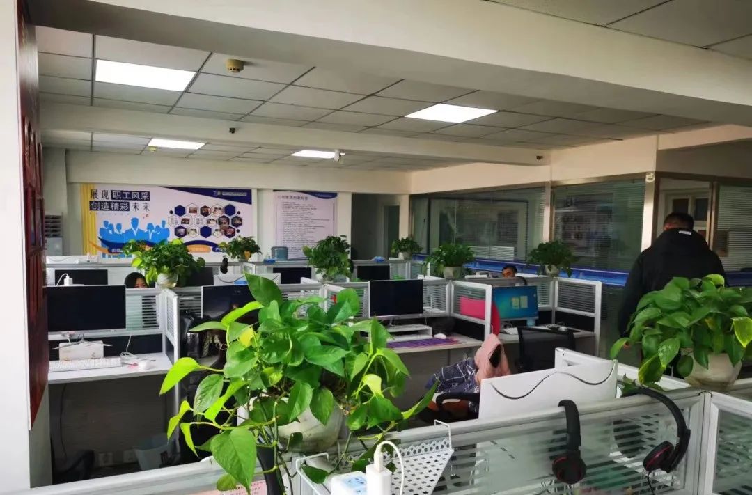 论文自己写,代笔*子骗**多!