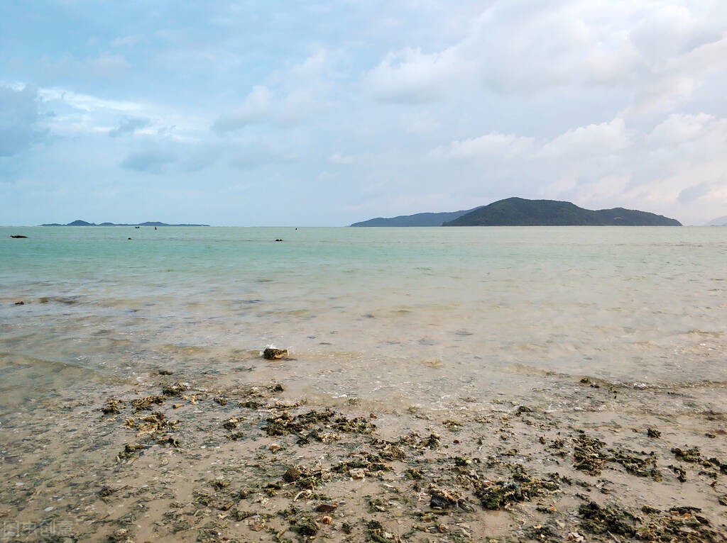 江苏各科满分女学霸,江苏最厉害的女学霸