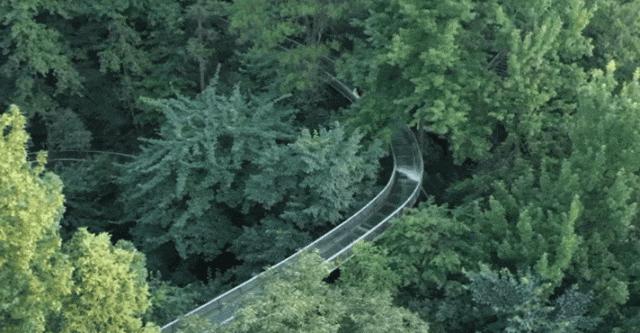 解锁夏日好去处赶紧来打卡吧长沙,长沙这个夏天叫你来打卡