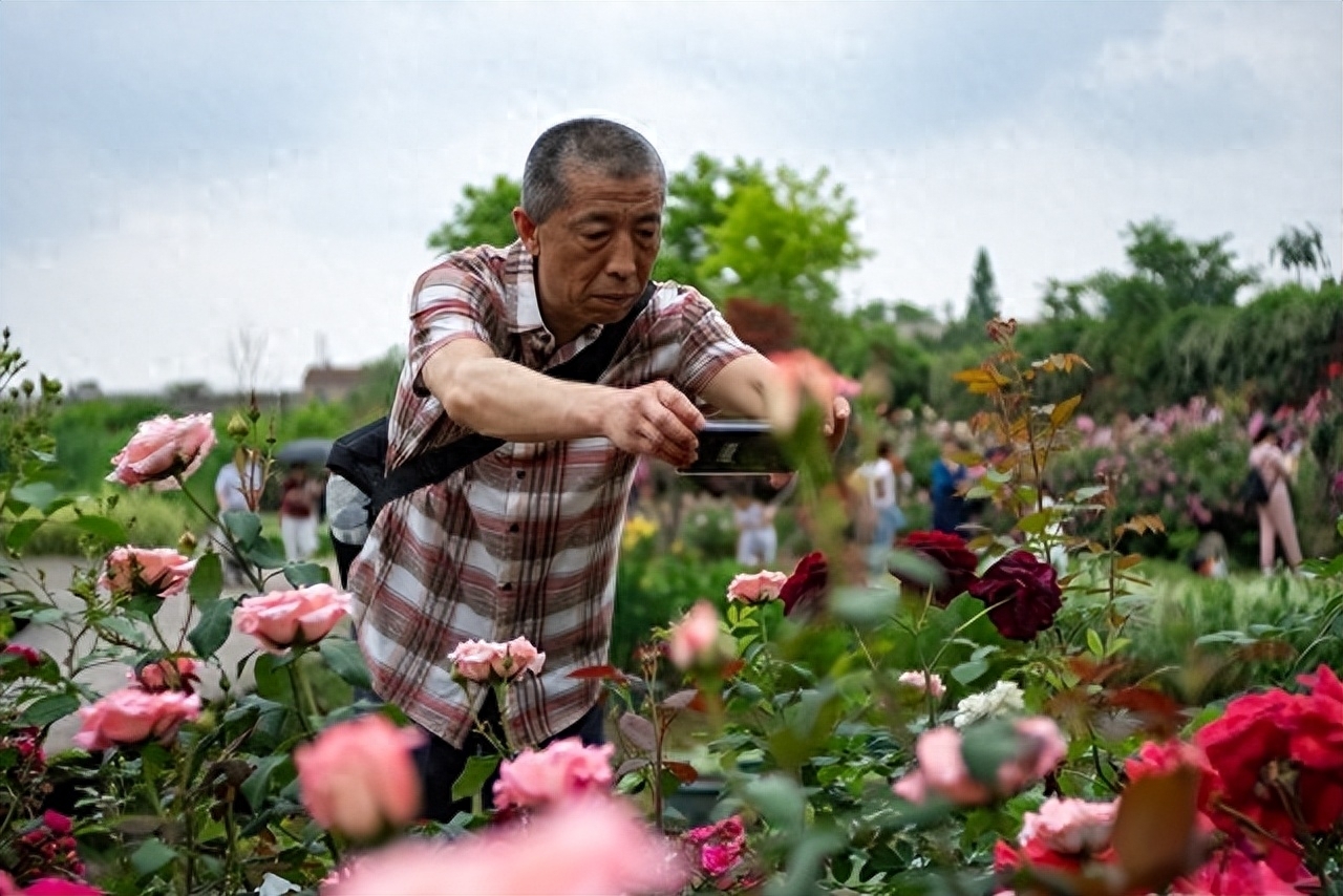 堂姐全家住我的房子,堂姐从外地回来都要住我们家