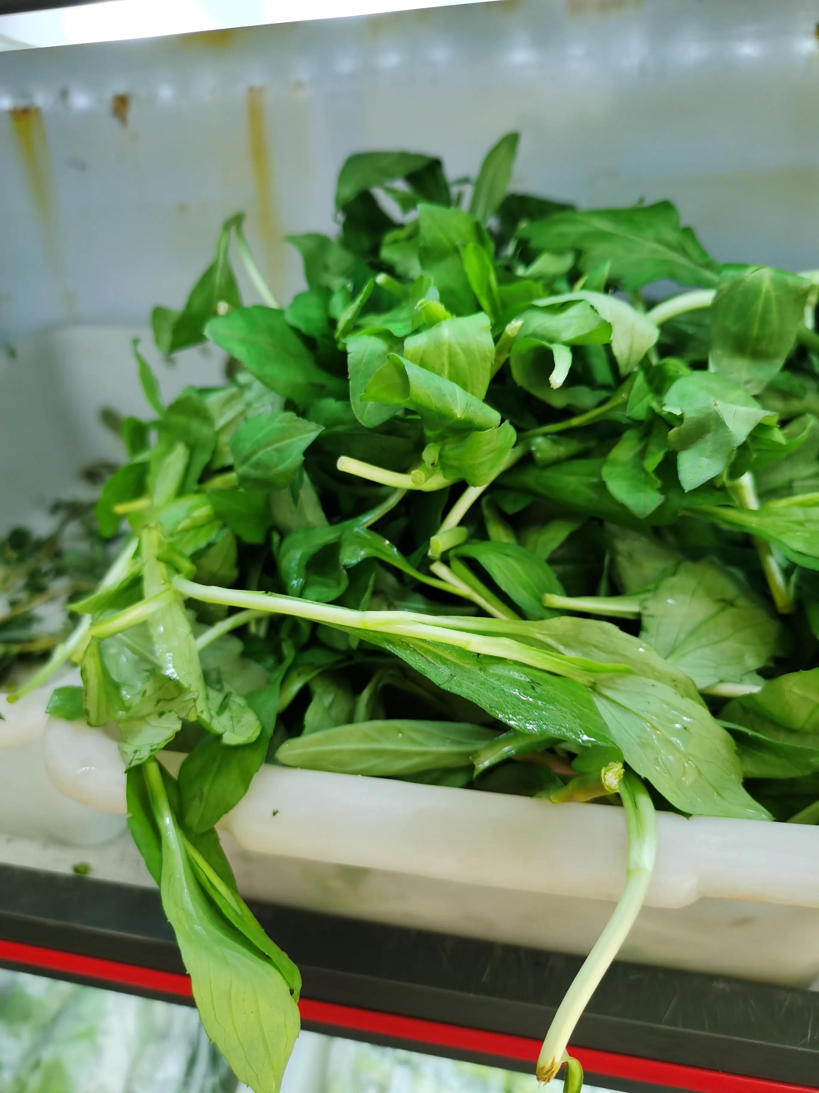 温州雁荡山天下奇秀,雁荡山两日游