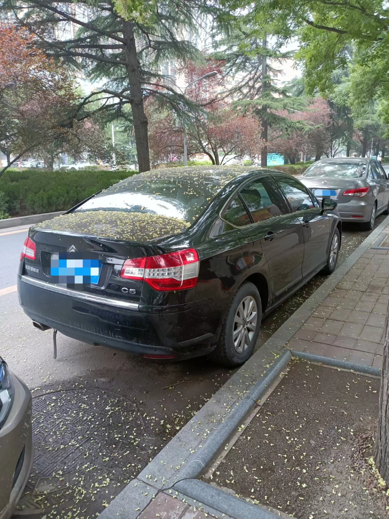 耐用的手动挡老车推荐车型,法系二手车不烧机油的老车有哪些