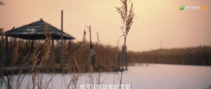 谁说翻车的，我第一个不同意