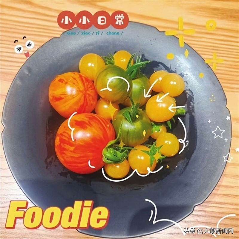 开心农场模式种什么蔬菜,开心农场种菜有哪些价值