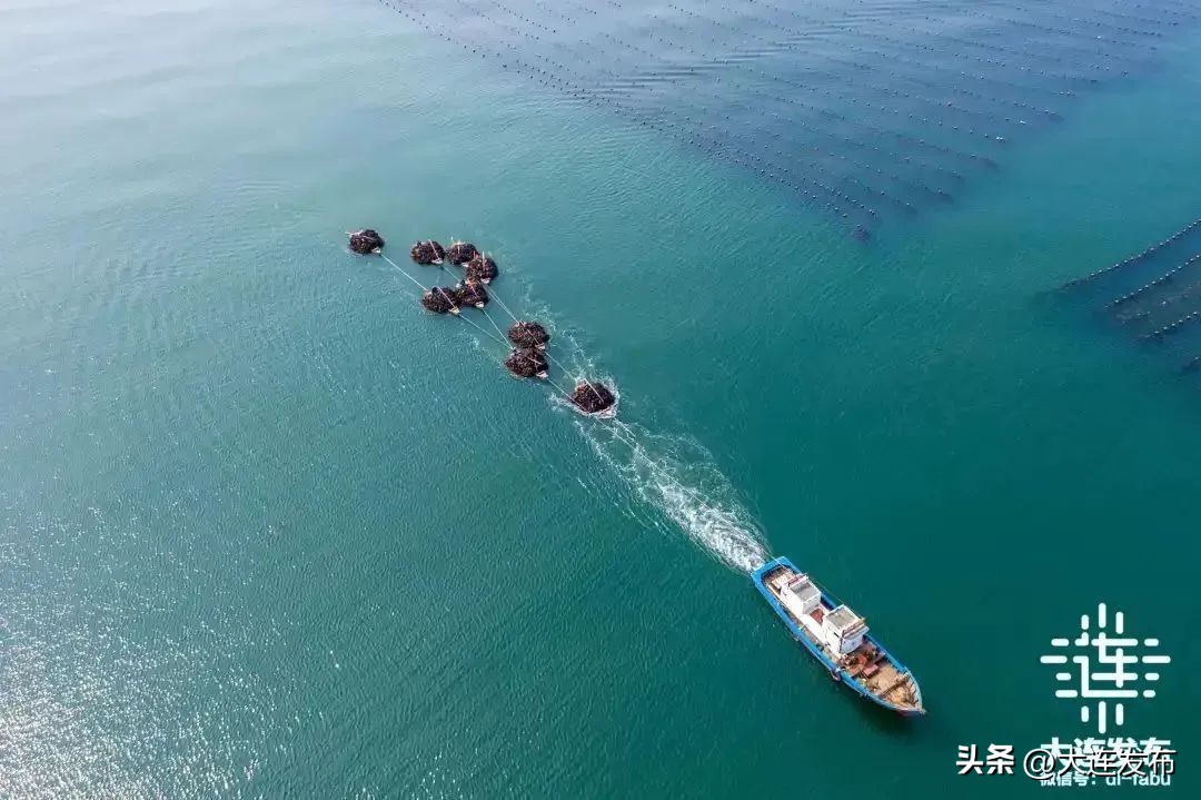 大连第76次新闻发布会回放,大连两先区建设水平大幅跃升