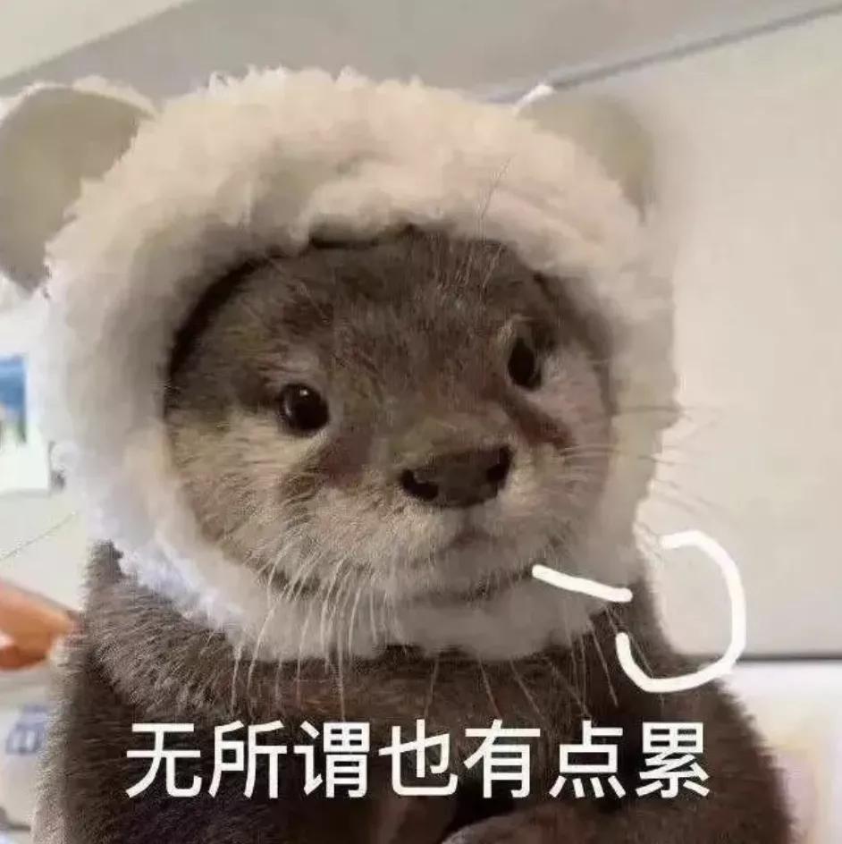 广州天河区暴风雪温泉,广州哪个温泉适合冬季