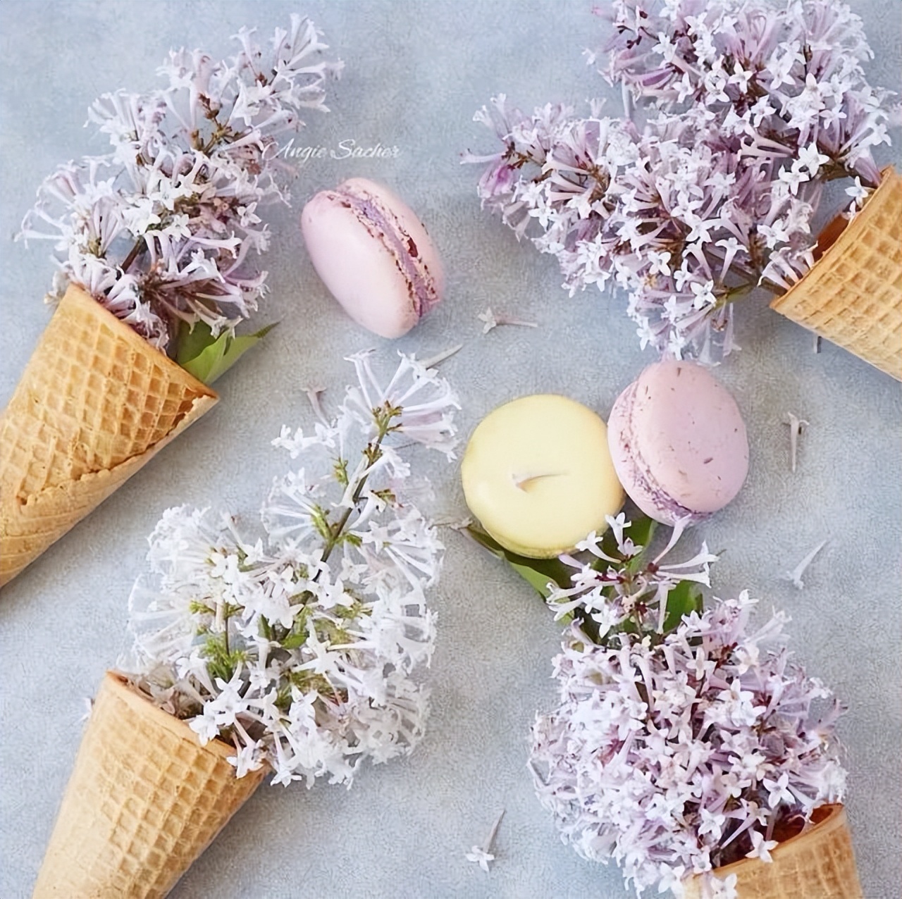 花儿正清凉,这些生机勃勃的花儿