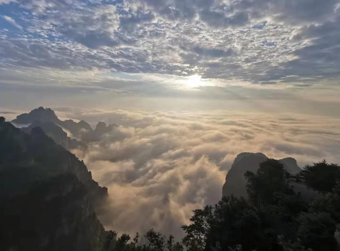 山西王莽岭景区赏花攻略,王莽岭两日游