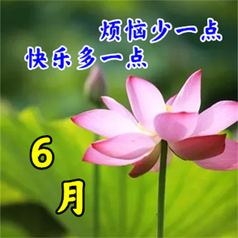 早上好暖心的早安问候图片,周一至周日最美早安问候图