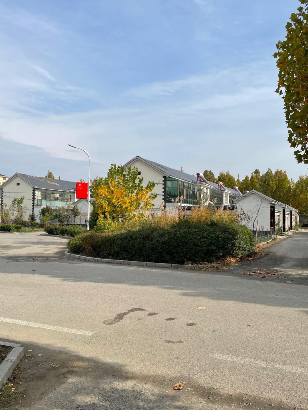 董董骑行山东,懂懂骑山东