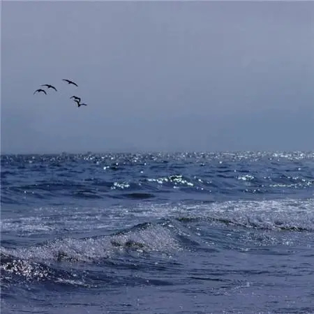 老丈人不借钱给小舅子,老丈人不借钱给小舅子怎么办