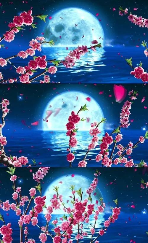 水边桃花月亮唯美图片,月亮竹影唯美图片