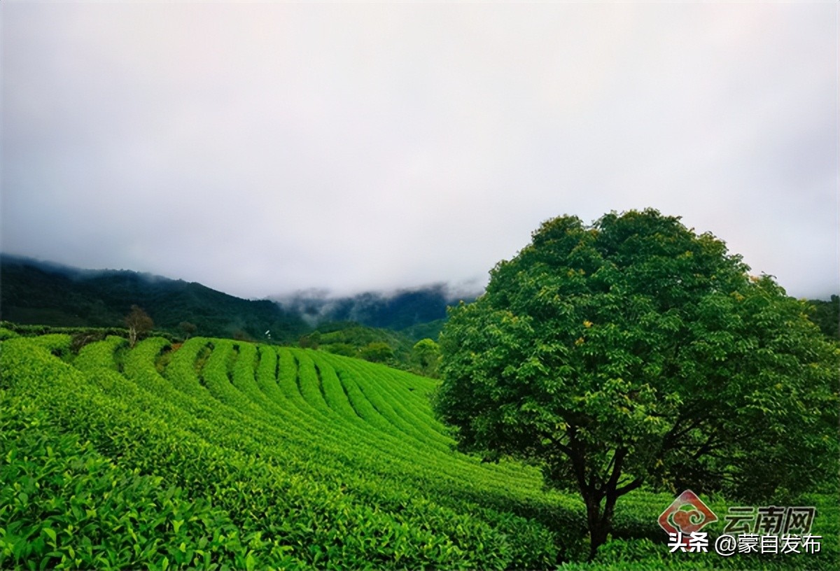 跟着音乐游云南,跟着民歌游云南