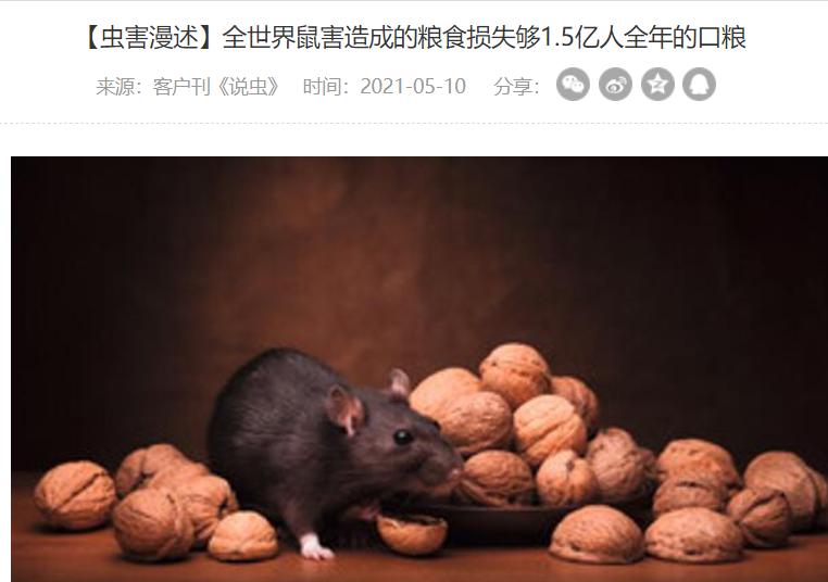 老鼠变少的原因是什么,为什么老鼠变少了