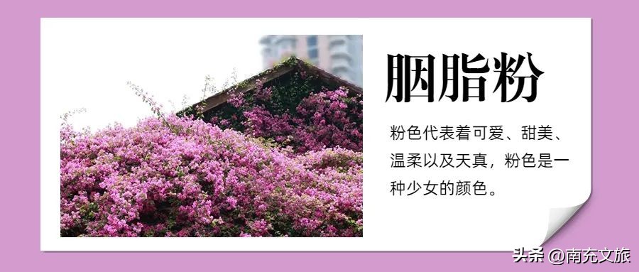 当南充美景遇上“多巴胺”这就是想象中夏天的样子！