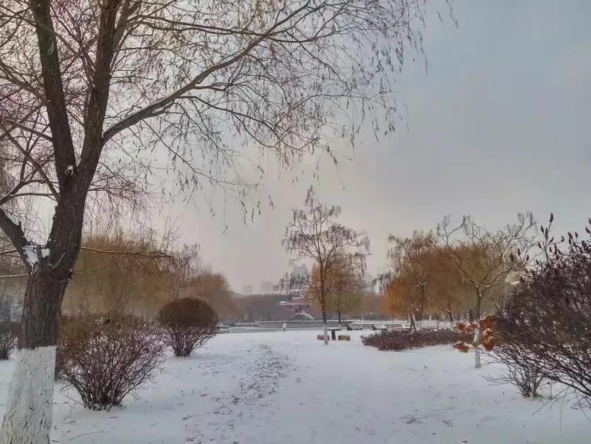 我的母校我的家乡,回母校宣传沈阳师范大学