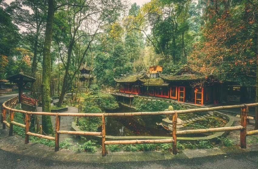 形容孤独寂寞的诗词句子,耐得住寂寞的经典诗词