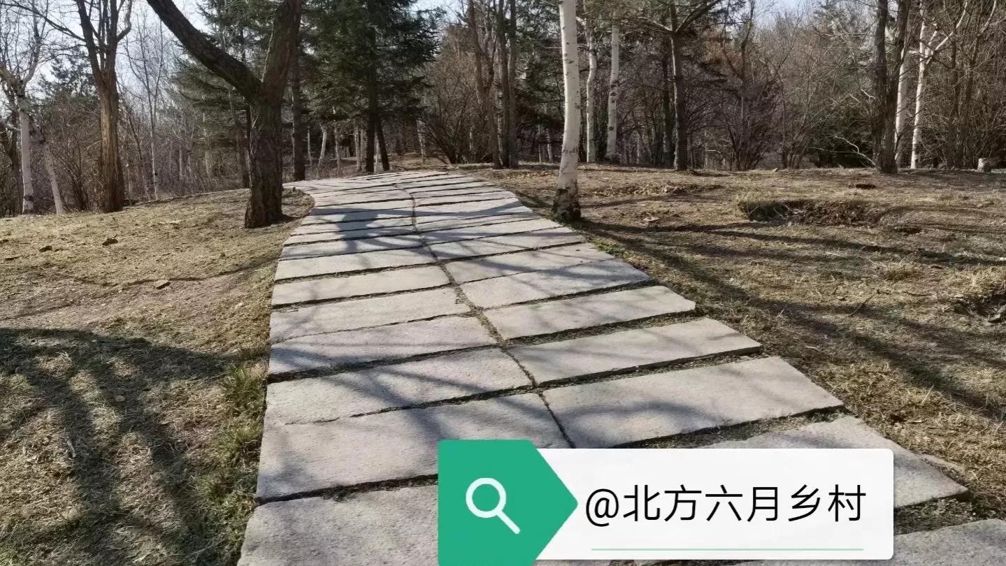 勿言乡村陌（二十九）