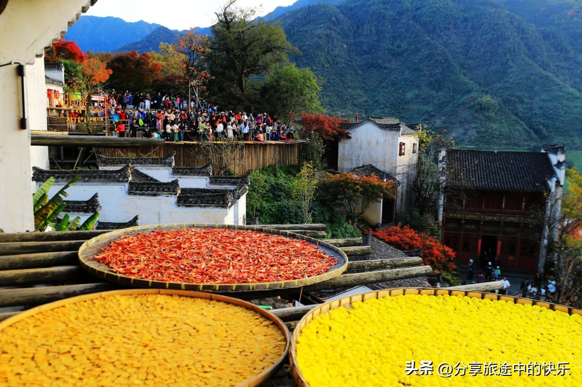 庐山旅游团2日游报价,暑假庐山三日游跟团游价格包吃住