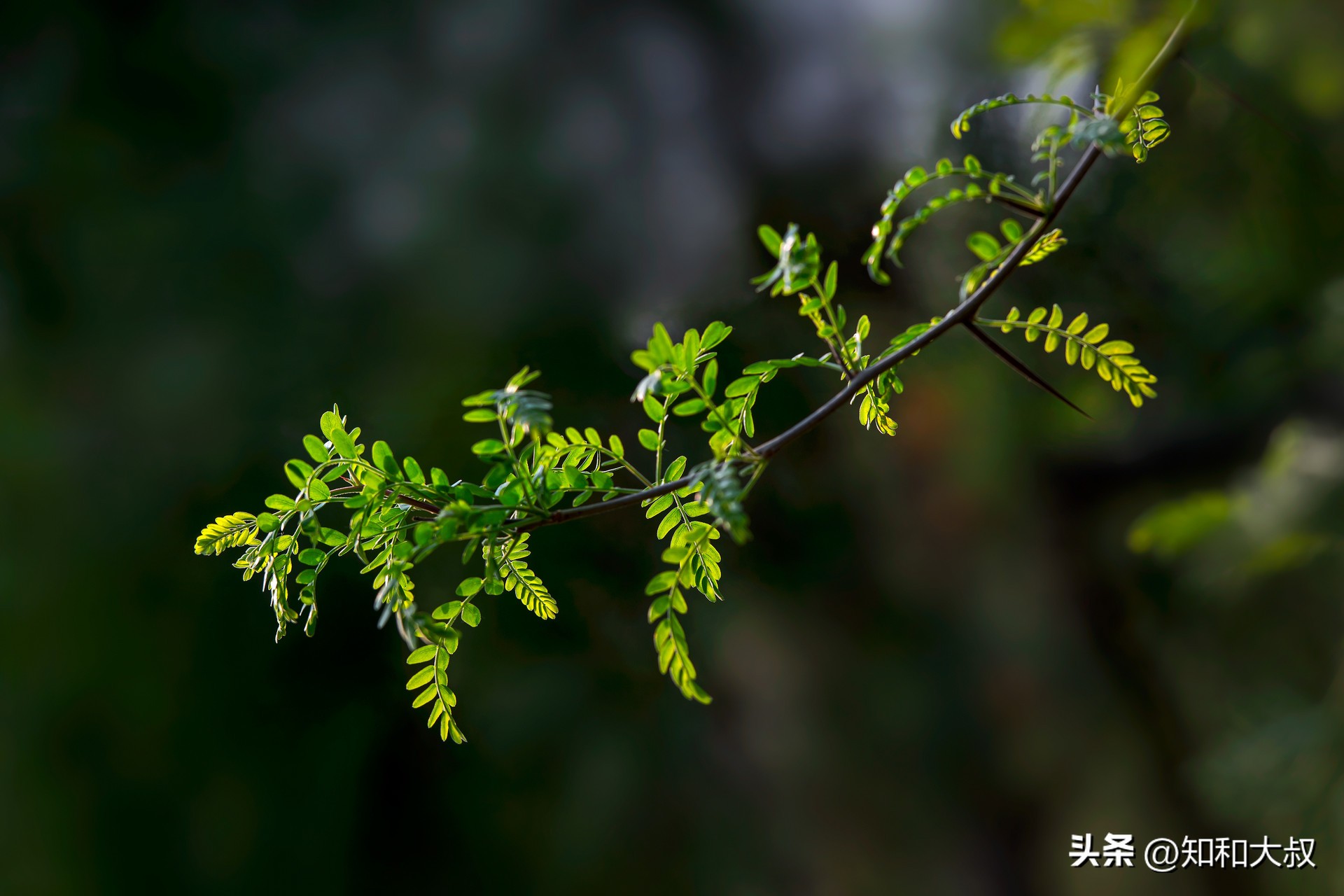 好父母的7条标准，中3条以上的，孩子长大必有出息