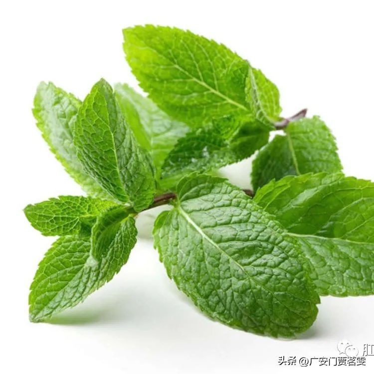 贾茗雯便秘治疗,广安门医院贾茗雯