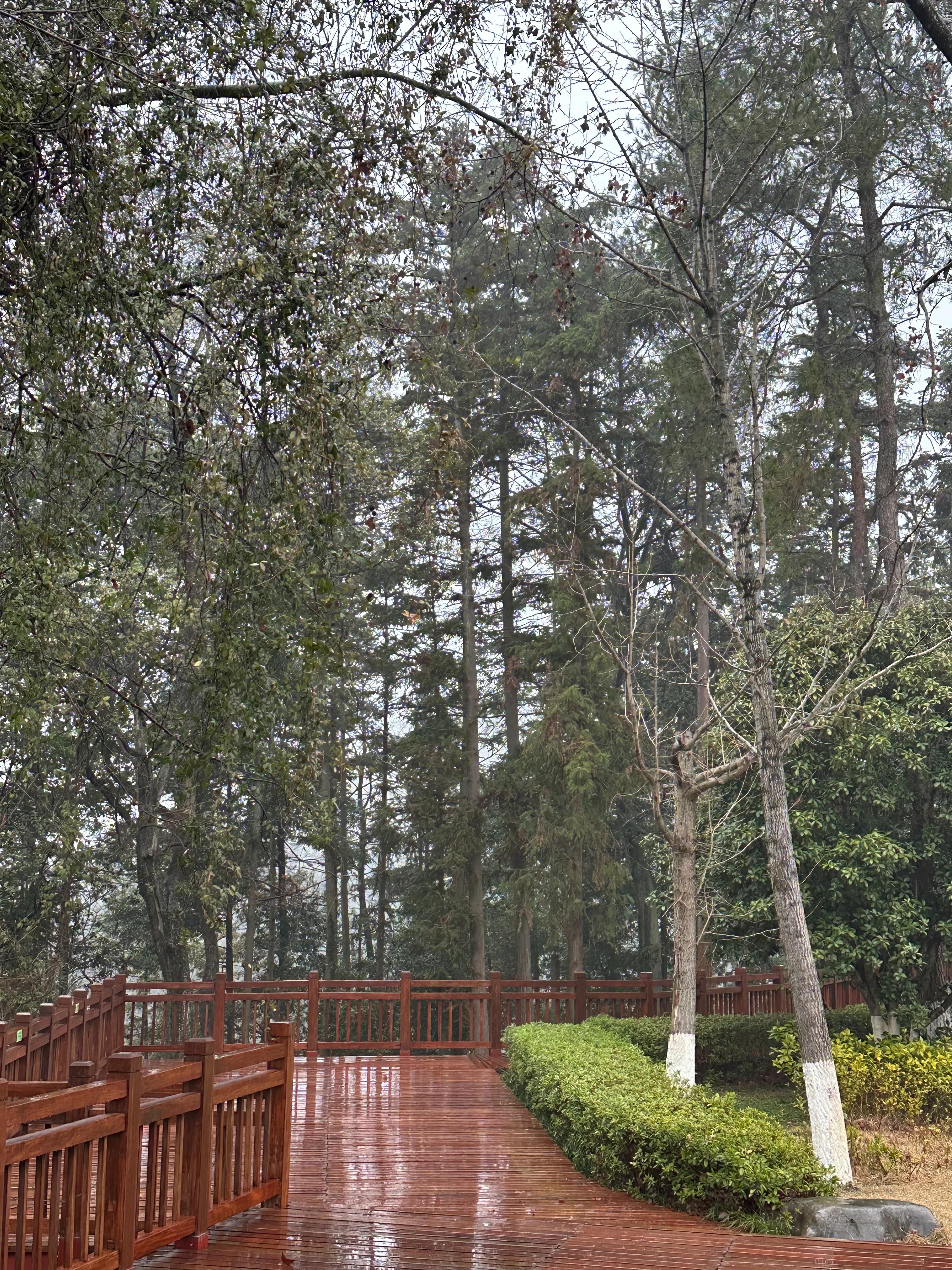 2022年6月张家界天门山自驾一日游,去张家界天门山景点攻略图