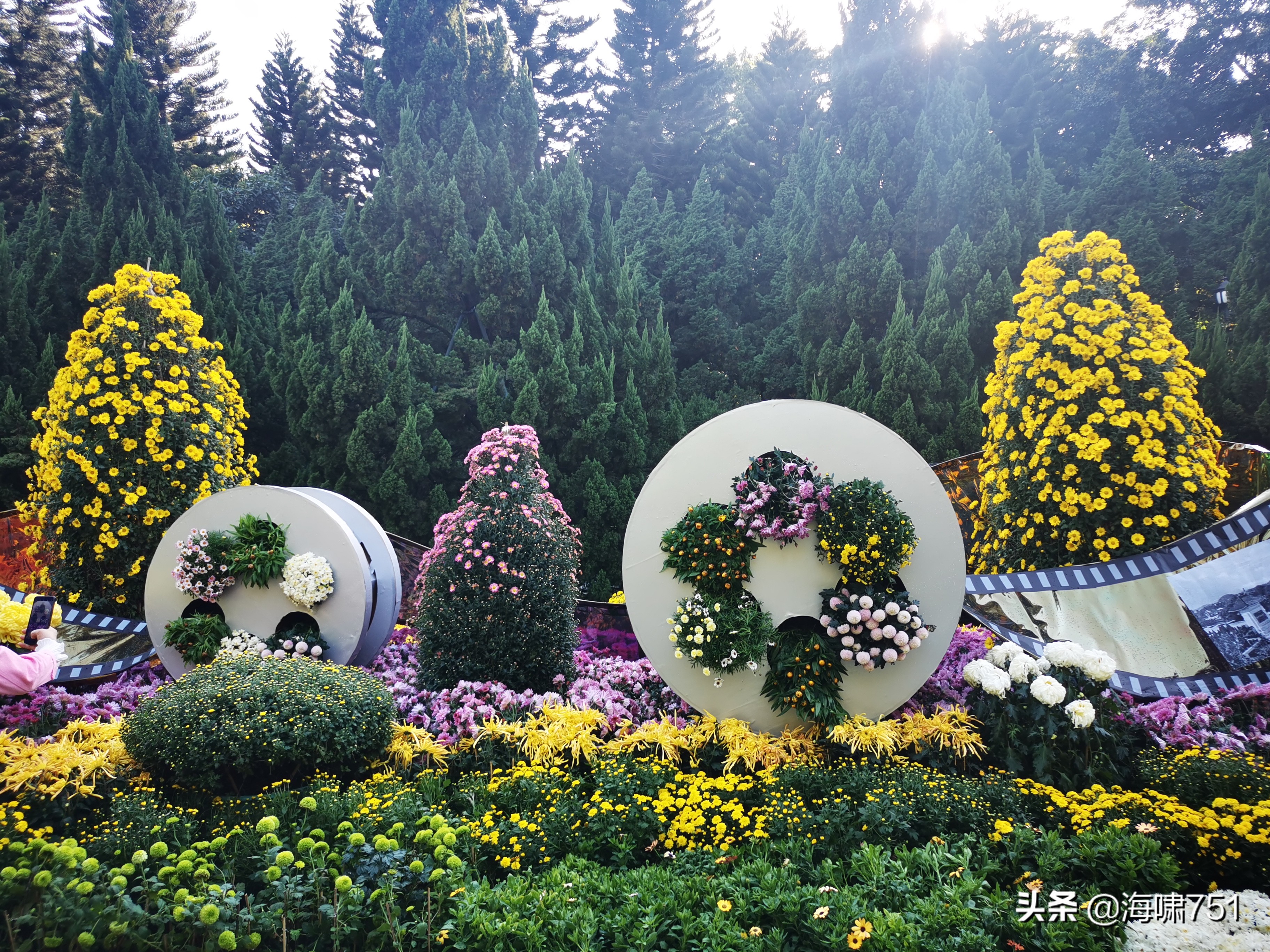 黄花岗公园开放时间,黄花岗公园停车