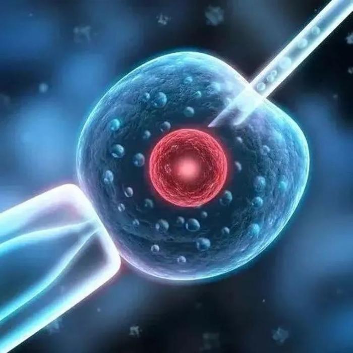 正常育龄女性每个月的卵泡的数量,女性卵泡数量多少正常