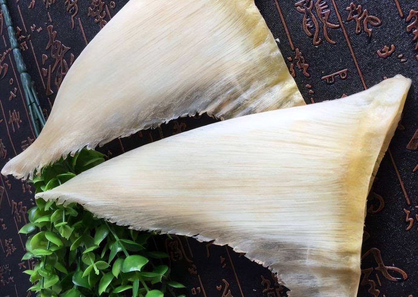 鲨鱼被割掉鱼鳍还能活多久,现在鲨鱼每年有多少被杀