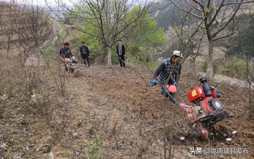 【新时代文明实践】代整撂荒地隔离不隔爱—康县平洛镇关爱服务再“升级”！
