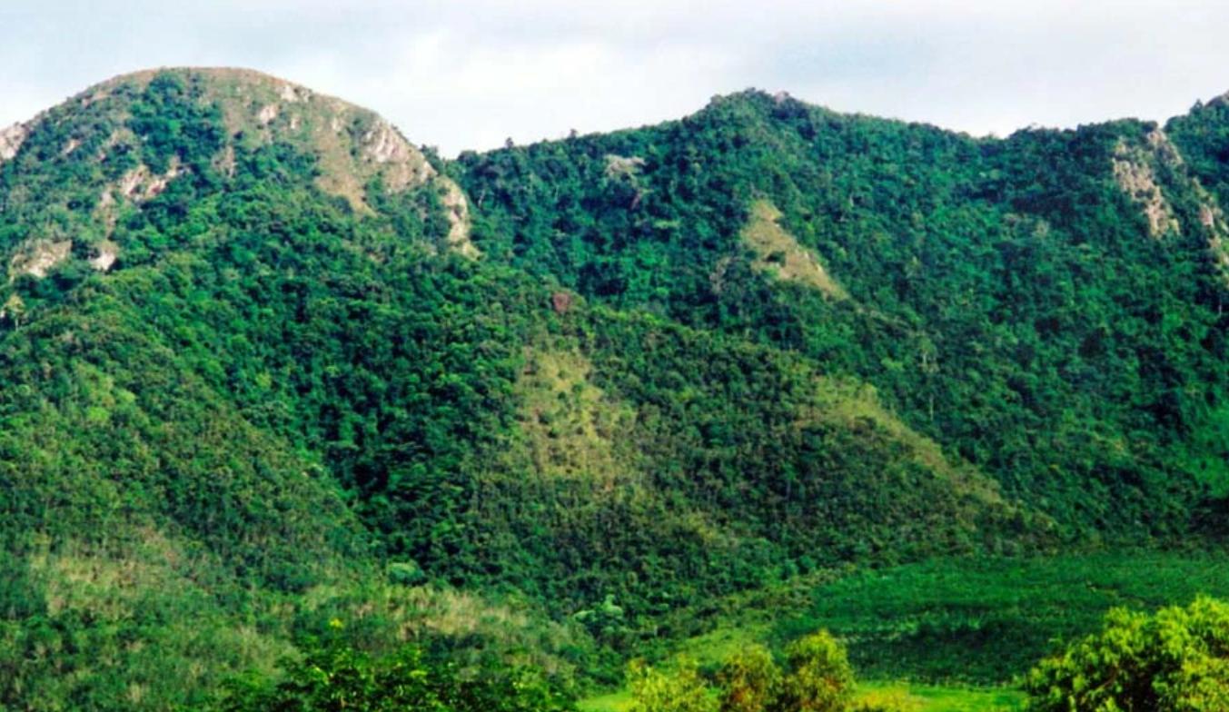 海南发现一山头长得像毛主席,孔令华跪地流泪,李讷也都感叹很像